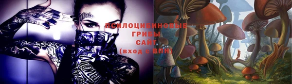 тгк Лабытнанги
