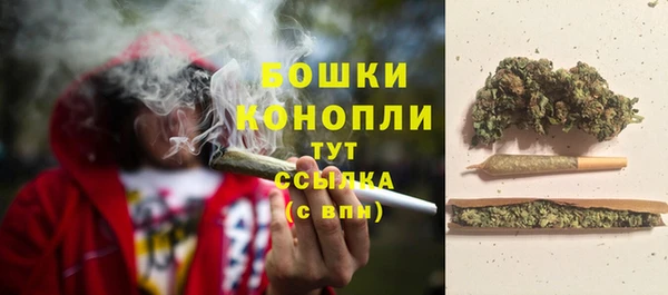 твердый Лагань