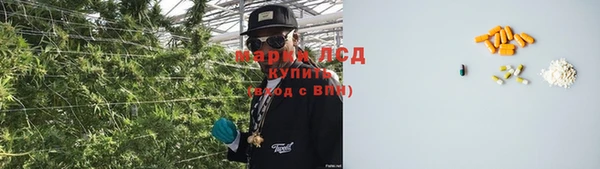 шишки Ладушкин