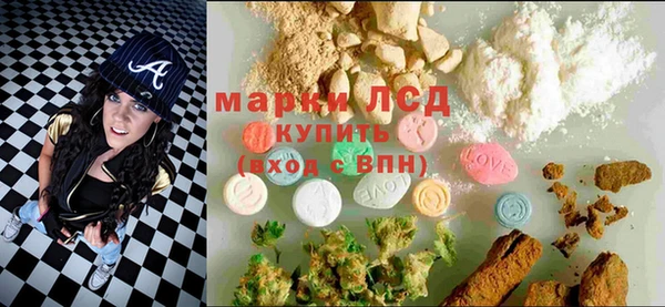 твердый Лагань
