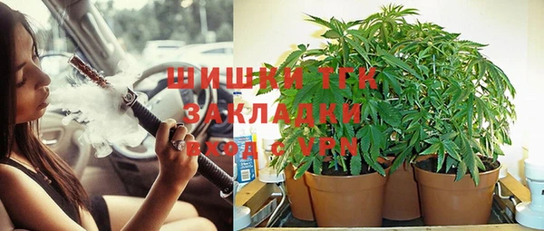 твердый Лагань