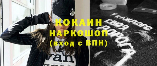 твердый Лагань