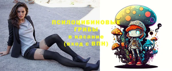 шишки Ладушкин