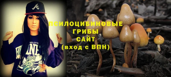 шишки Ладушкин