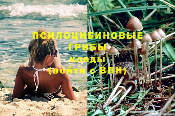 шишки Ладушкин
