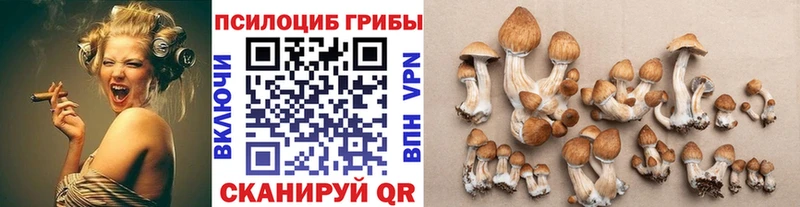 Галлюциногенные грибы Psilocybine cubensis  Купить  Зея 